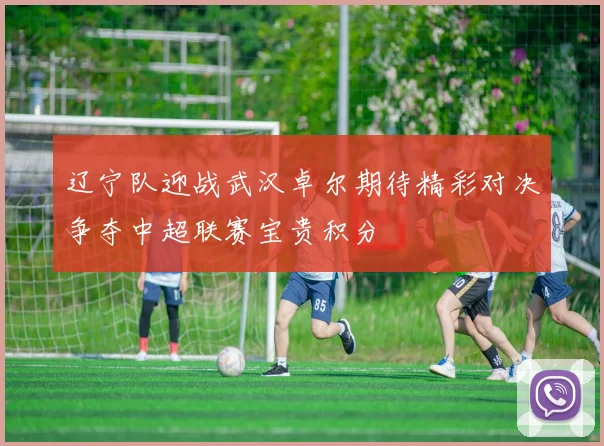 辽宁队迎战武汉卓尔期待精彩对决争夺中超联赛宝贵积分