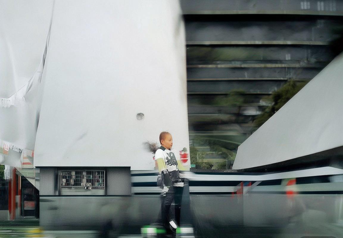 东京葵花：都市绿意中的邻里情谊